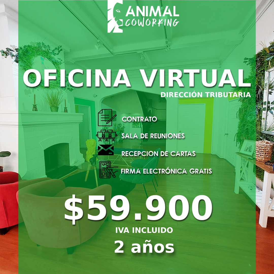 Animal Coworking Group 5