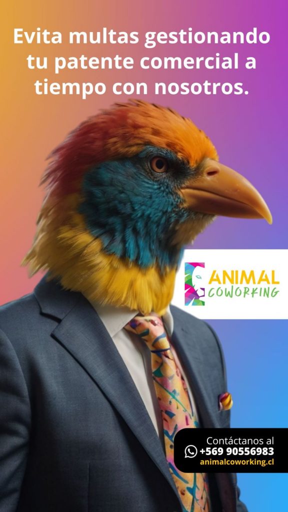 ANIMAL COWORKING a través de este servicio gestiona todo lo que necesitas para poder obtener la aprobación de tu patente comercial de oficina virtual desde la municipalidad de Providencia.
Solicitar la patente comercial es una OBLIGACIÓN LEGAL para todo tipo de giro comercial, por tanto es sumamente importante que lo consideres dentro de la planificación económica de tu empresa.
